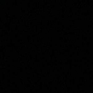 Meet your Posher, Raquel